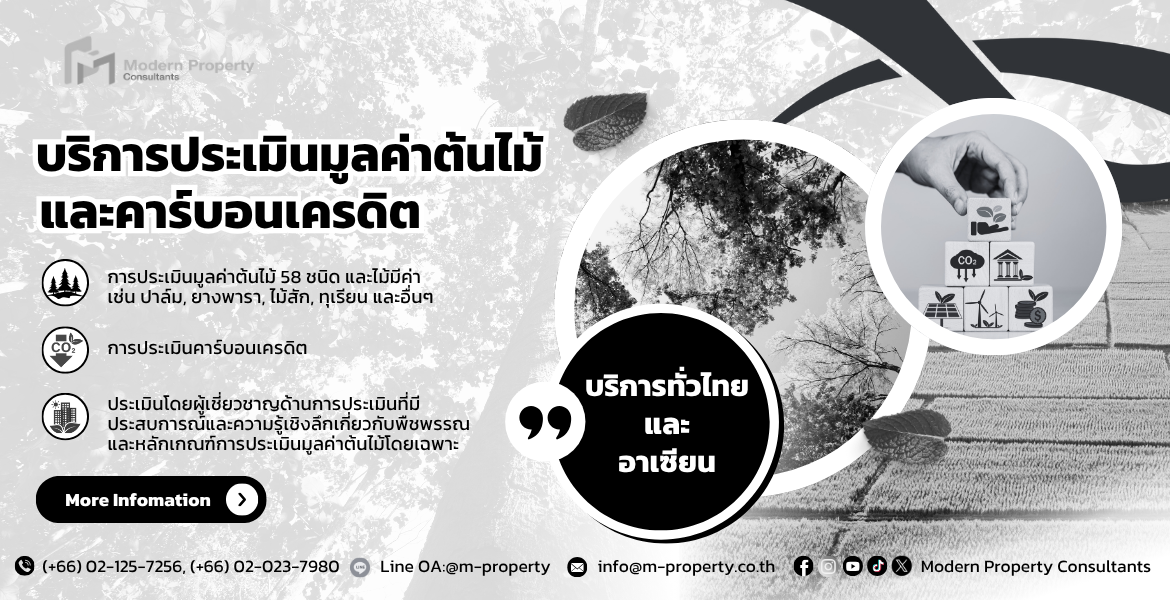 บริการประเมินมูลค่าต้นไม้ คาร์บอนเครดิต