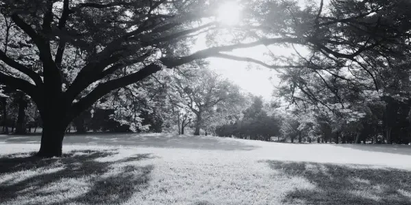 รูปประกอบเนื้อหาบทความในเว็บไซต์ (1)